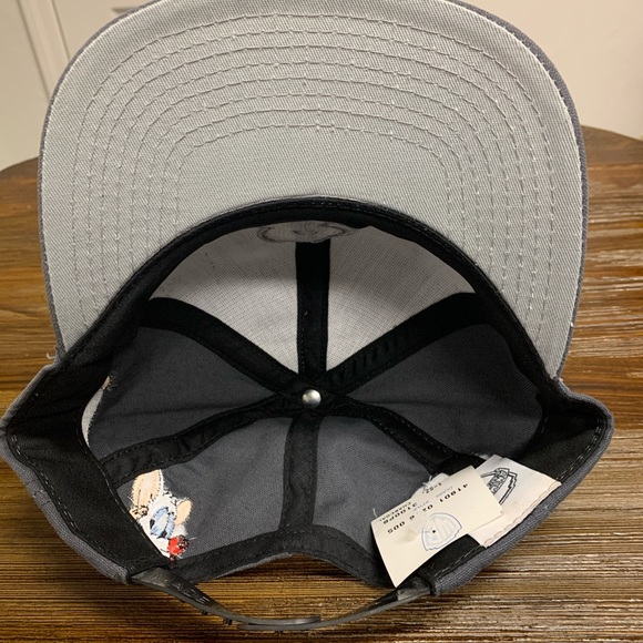 VINTAGE 90s Pinky and the Brain Animaniacs Hat NWT - Picture 13 of 16